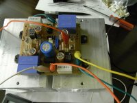 RIMG3712_copy.jpg