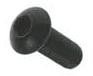 Button head.jpg