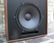 RCF BR 110 dettaglio bass.jpg