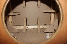 IMG_1101 (Large).JPG