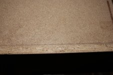 IMG_1106 (Large).JPG