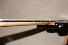 IMG_1675 (Large).JPG