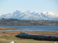 IMG_2258.jpg