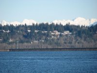 IMG_2280.jpg