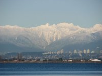 IMG_2292.jpg