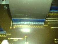 DSC00055.JPG