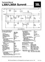 L300.jpg
