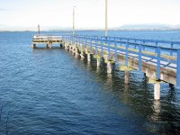 IMG_2284.jpg