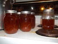 100_0429.JPG