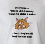 Skin a Cat.jpg