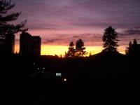 DSC00032.jpg