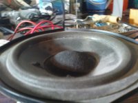 DSC00234.JPG