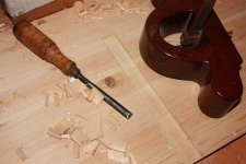 IMG_3463 (Large).JPG