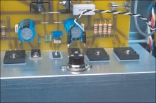 SC-SpkProt-ThermalSwitch.jpg