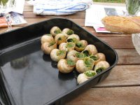 escargot2.jpg