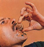 escargots_kl.jpg