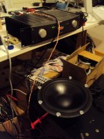 Running in ZDL woofer 2.jpg