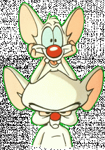 1.gif