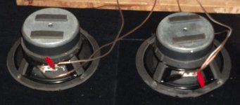 Mystery midbass (back).jpg