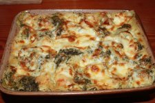 IMG_4365 (Large).JPG