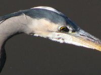 IMG_3705.jpg