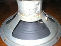 P1010023.JPG