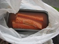 IMG_7270.jpg
