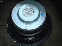 sized 1.jpg