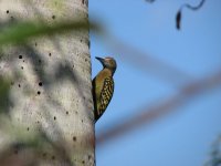 IMG_2723.jpg