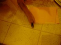054_Scaled.jpg