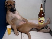 Who wants my dog.jpg