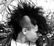 Young_mohawk_punk_c1984.jpg