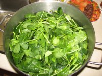 IMG_7302.jpg