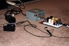 DSC_7384.jpg