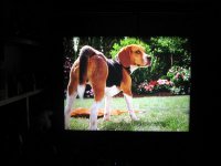 IMG_08481.JPG