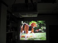 IMG_08491.JPG