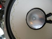 IMG_3897.jpg