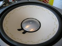 IMG_3905.jpg