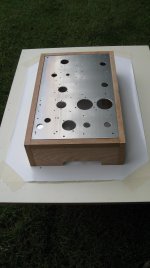 ampchassis 008.jpg