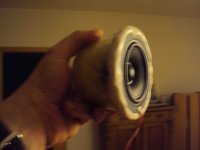 Scan Wideband in glas bowl.jpg