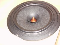 BEAR's-DAYTON-220-.jpg