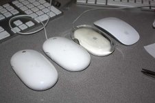 family-of-mice.jpg