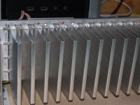SSC_4896.JPG