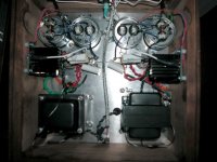 cham-inside-wire.jpg