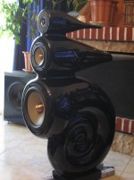 IMG_2454.jpg