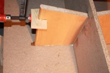 IMG_3141 (Large).JPG