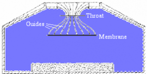 Bev lens[1].png