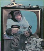 monkey.jpg