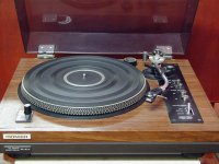 pl-51a.jpg