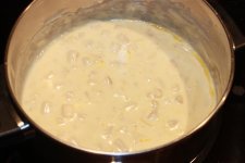 IMG_3173 (Large).JPG